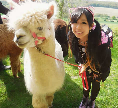 A girl posing with an alpaca on an alpaca walk in Sussex