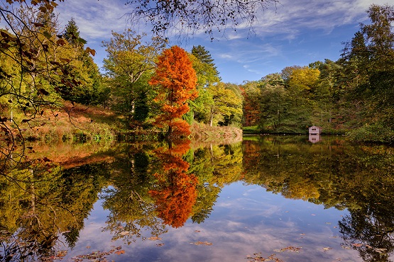 Wakehurst's autumn Westwood Lake reflection