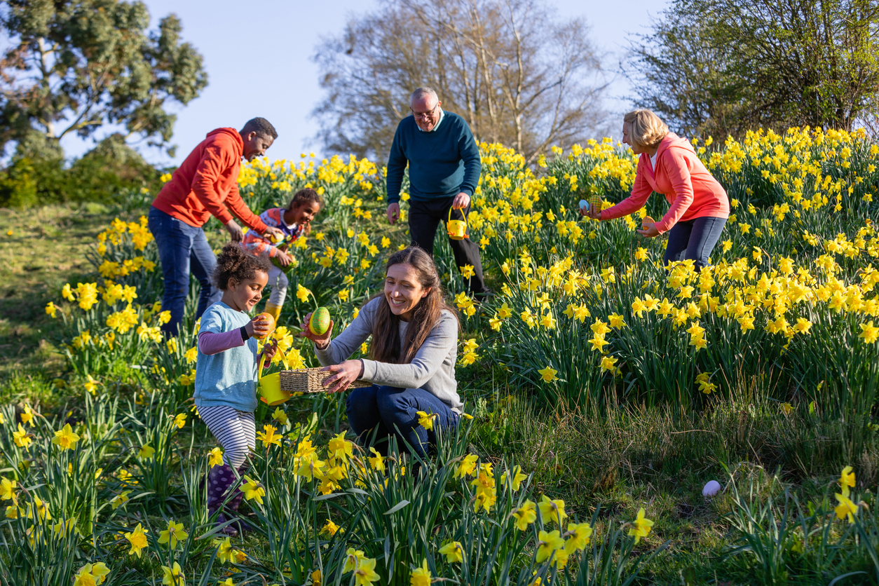 A local guide to farmer’s markets in West Sussex | Experience West Sussex